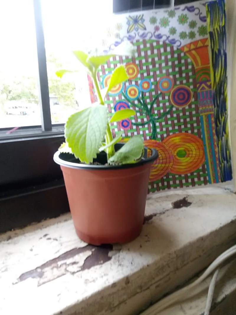 Surfpoint Recovery: Inpatient Drug & Alcohol Rehab & Detox In Brooklyn, NY - Photo 5