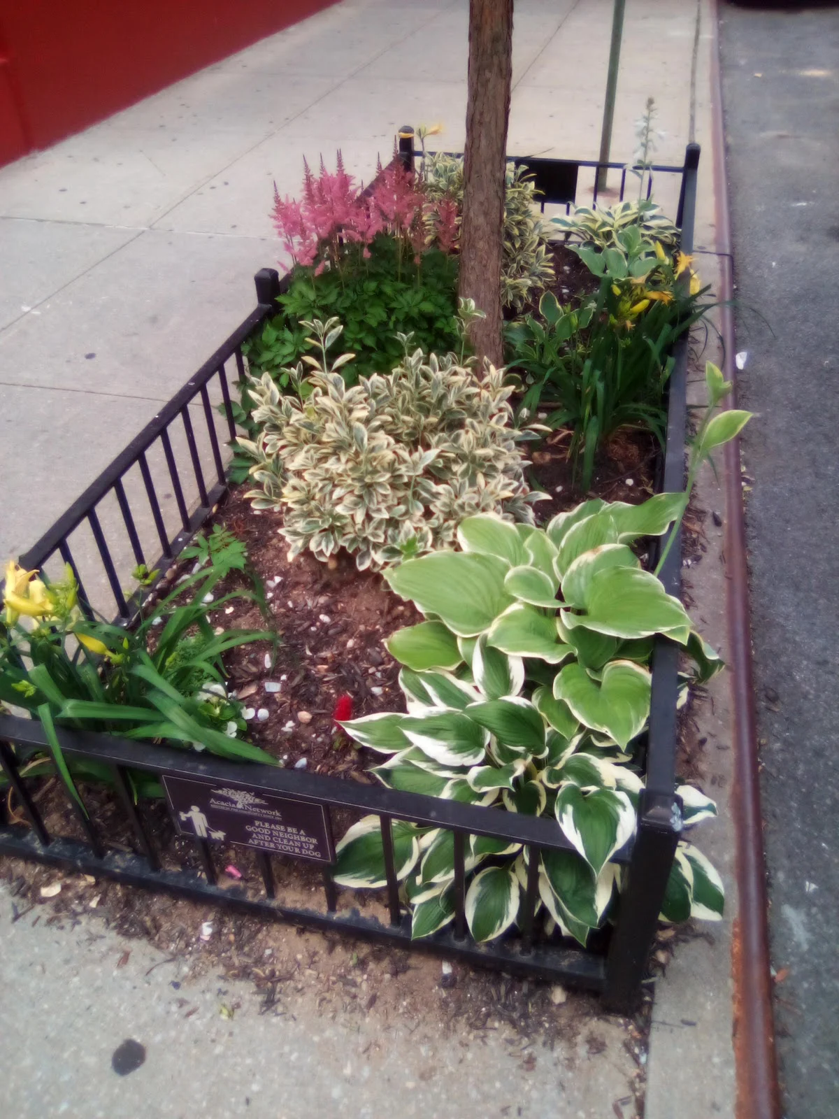 Acacia Network: Amanecer Detox/Rehab Recovery Center - Photo 5