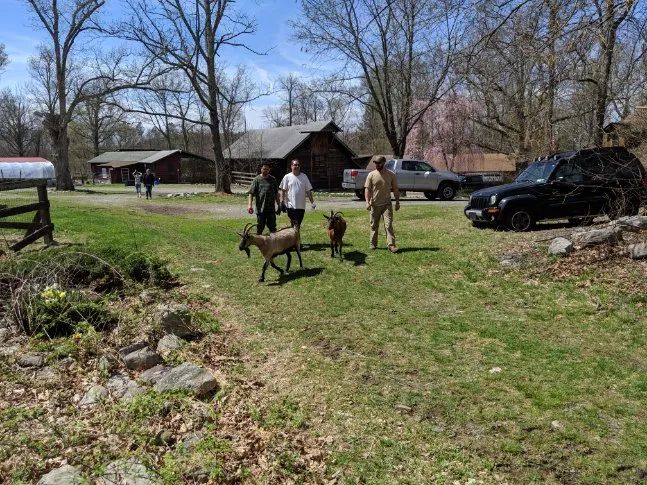 Fountain House Bronx - Ảnh 4