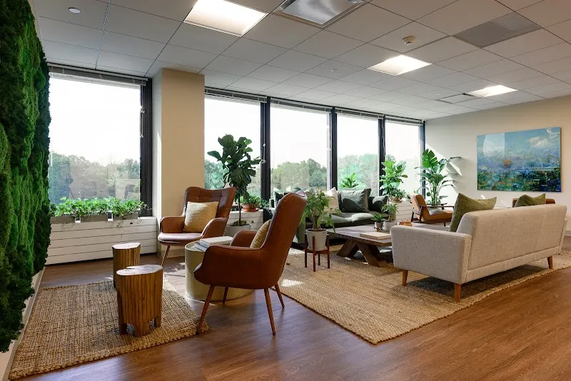 Release Recovery - 照片 3