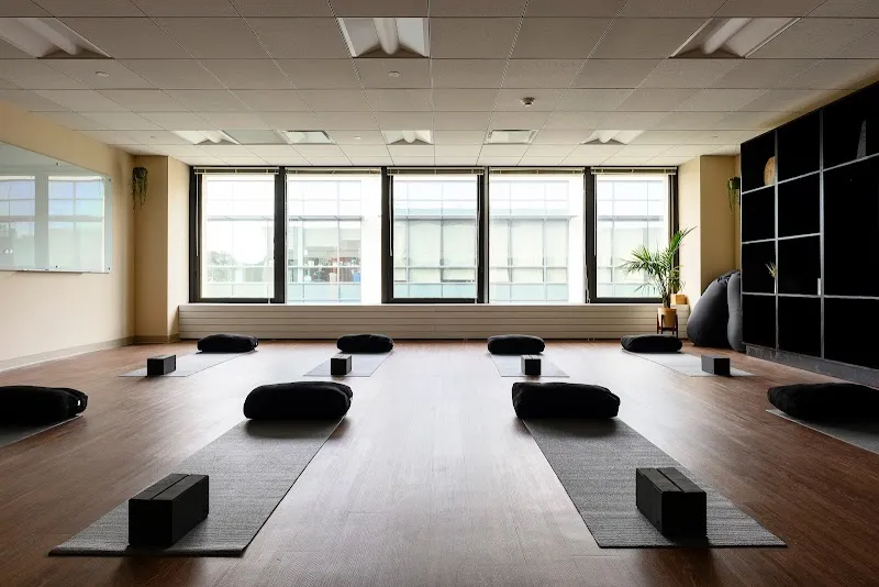 Release Recovery - 照片 4