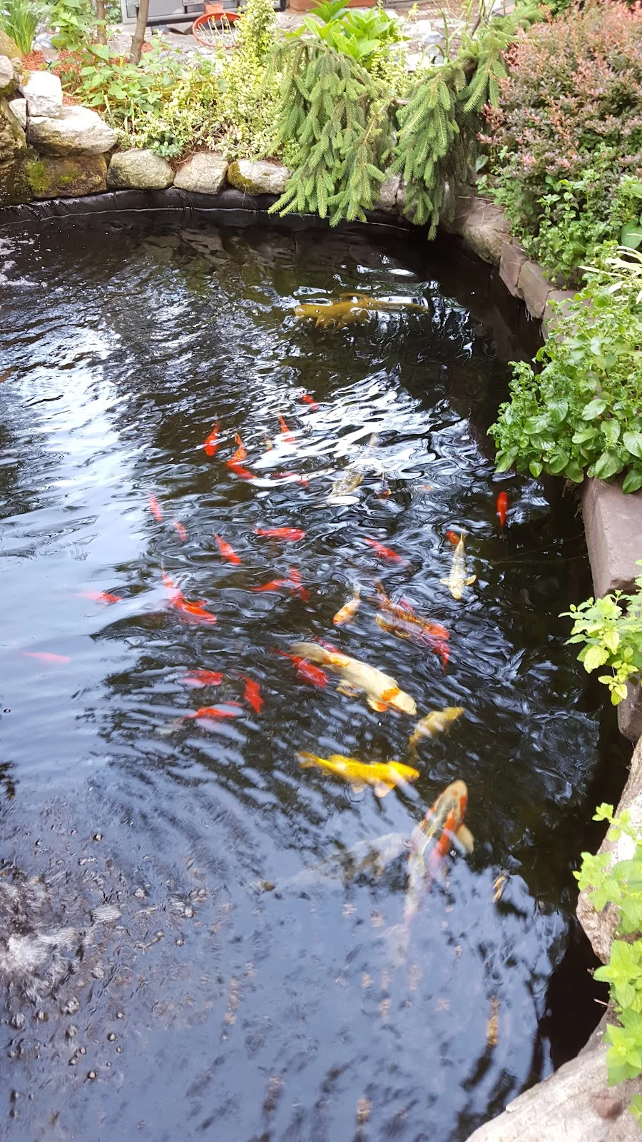 St Anthony Shelter for Renewal - Photo 3