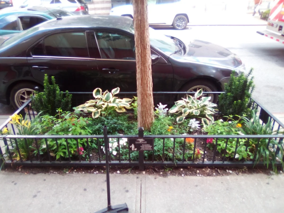 Acacia Network: Amanecer Detox/Rehab Recovery Center - Photo 2