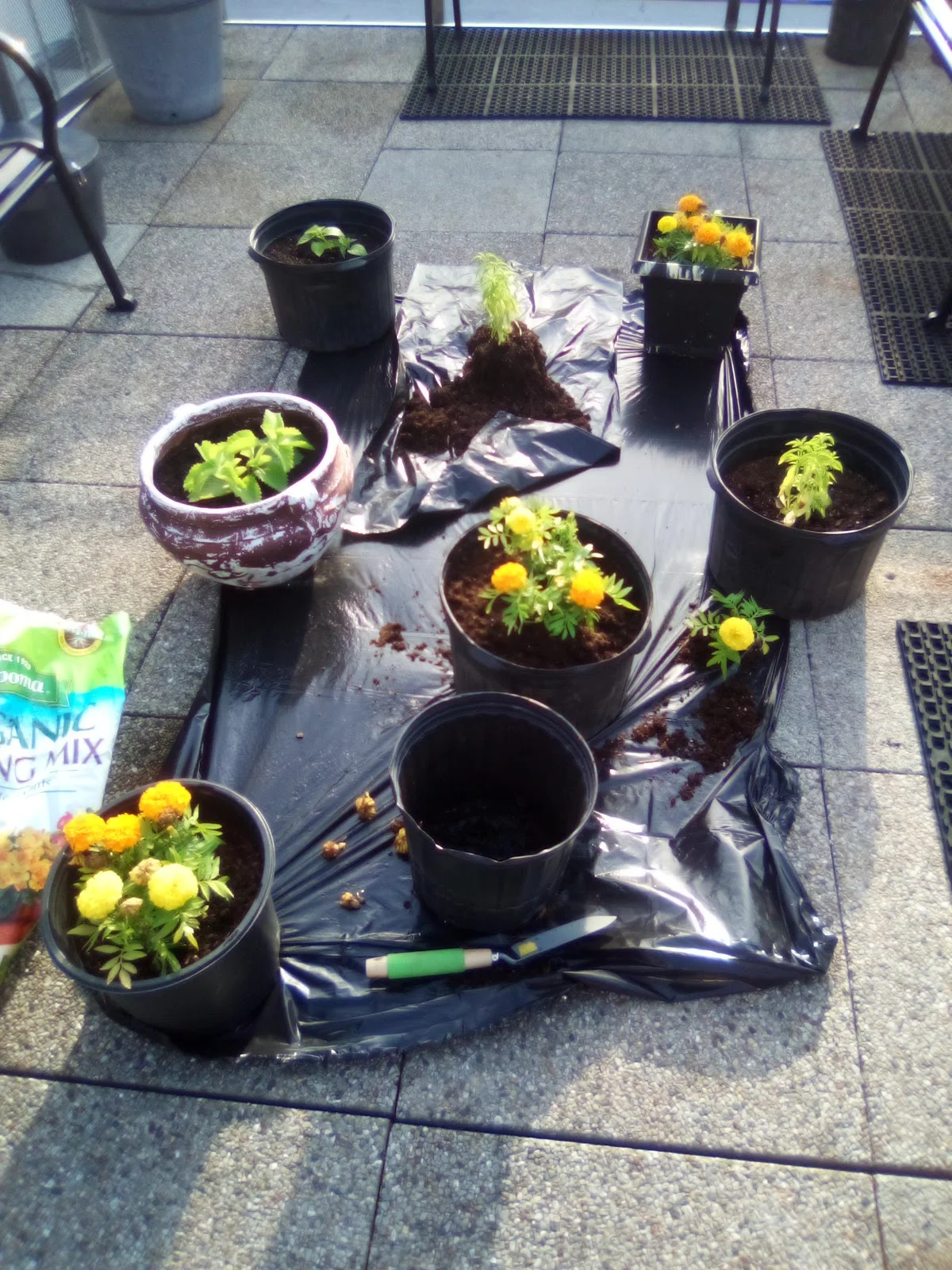 Acacia Network: Amanecer Detox/Rehab Recovery Center - Photo 3